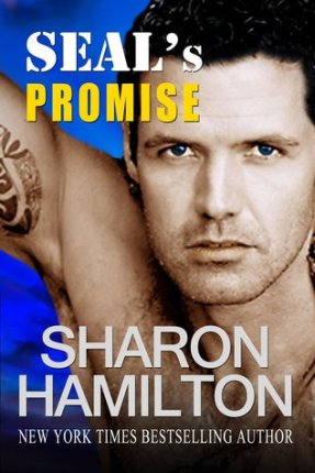 SEALs Promise Book Cover
